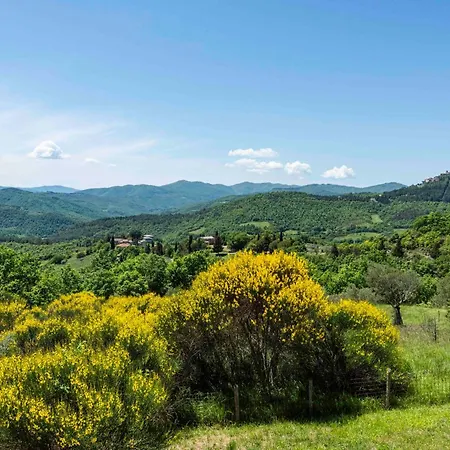 Ciciliano By Mmega * Monte Santa Maria Tiberina